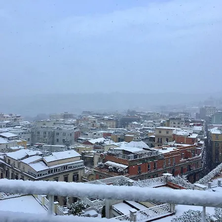 Zen Terrace * Naples